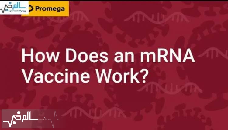 واکسن MRNA کرونا چگونه کار می‌کند؟