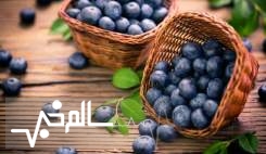 بلوبری در کاهش فشارخون و تقویت مغز موثر است